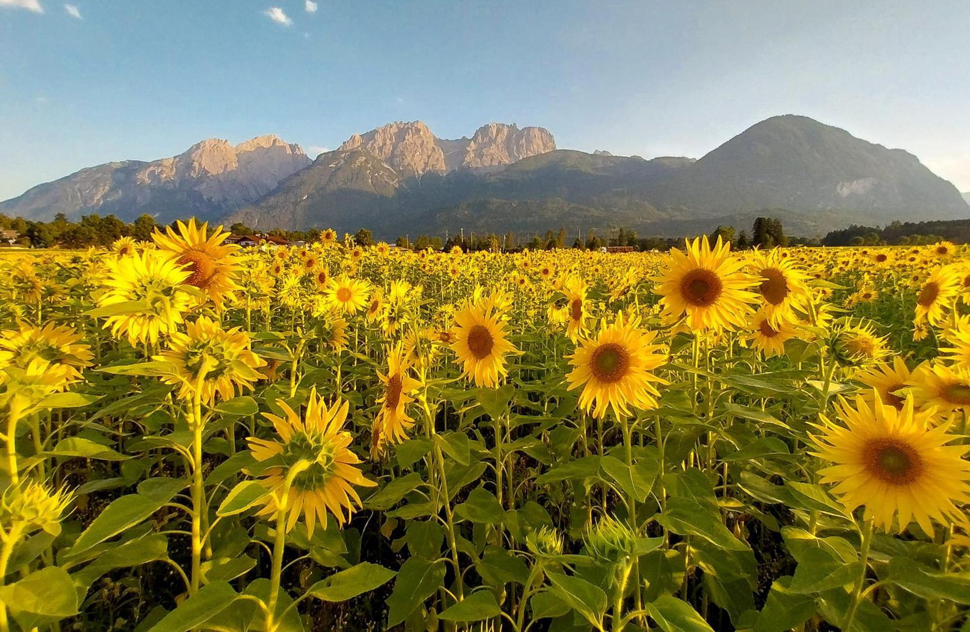 Apartment Haus Sonnengarten-lienz Lienz